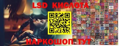 гидра Заволжье