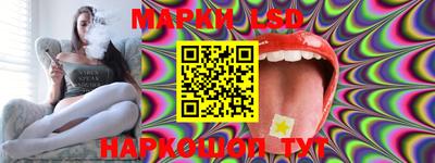 гидра Заволжье