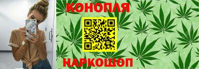 гидра Заволжье