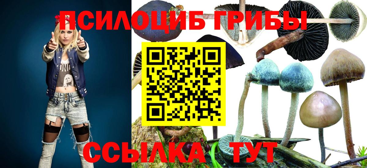 Галлюциногенные грибы прущие грибы Лесозаводск