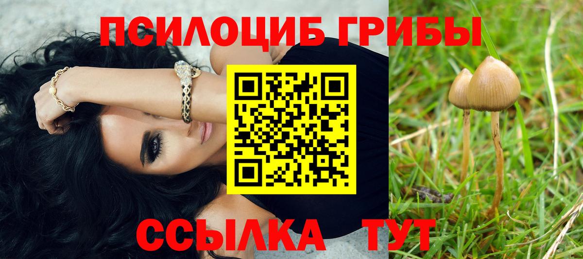Галлюциногенные грибы Psilocybine cubensis  Вход с VPN  Лесозаводск  Галлюциногенные грибы мицелий 
